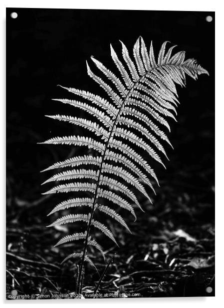 luminous fern leaf  in monochrome  Acrylic by Simon Johnson