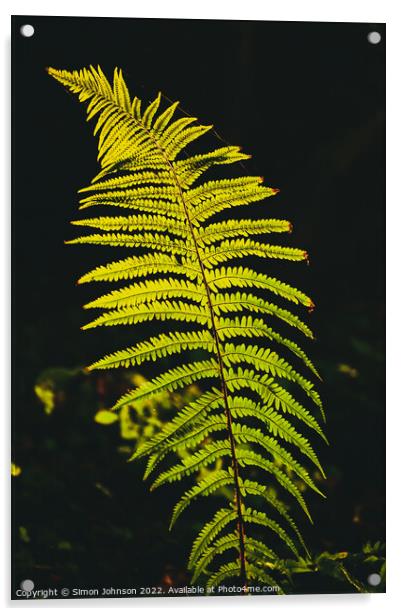 luminous fern Acrylic by Simon Johnson