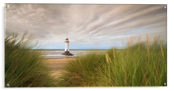 Talacre Lighthouse Through The Dune Grasses Acrylic by Phil Durkin DPAGB BPE4
