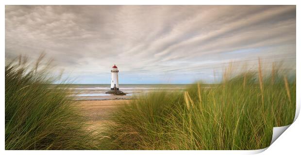 Talacre Lighthouse Through The Dune Grasses Print by Phil Durkin DPAGB BPE4