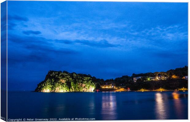 The 'Ness' In Shaldon Illuminated At Night Canvas Print by Peter Greenway