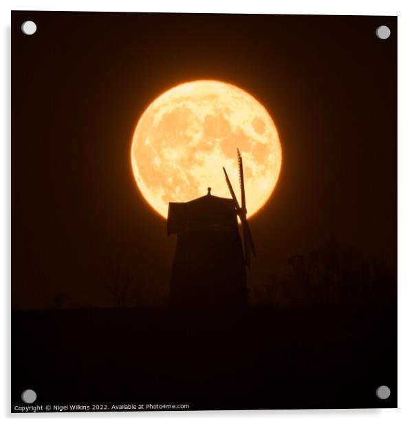 Moonrise Acrylic by Nigel Wilkins