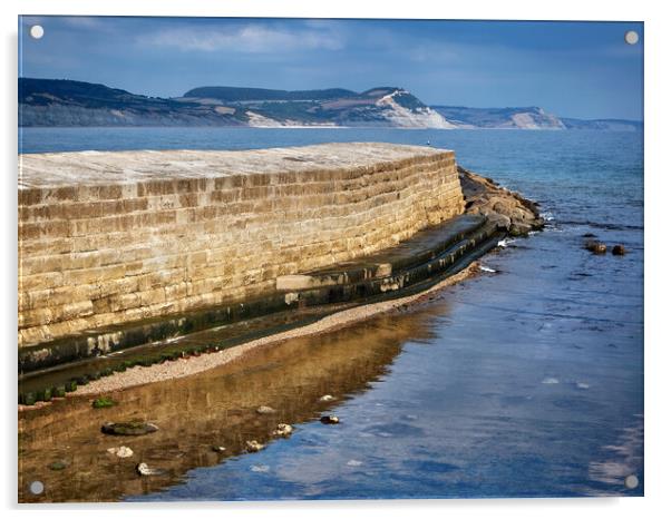 The Cobb, Lyme Regis  Acrylic by Darren Galpin