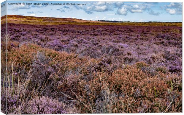 Yorkshire Heather Canvas Print by keith sayer