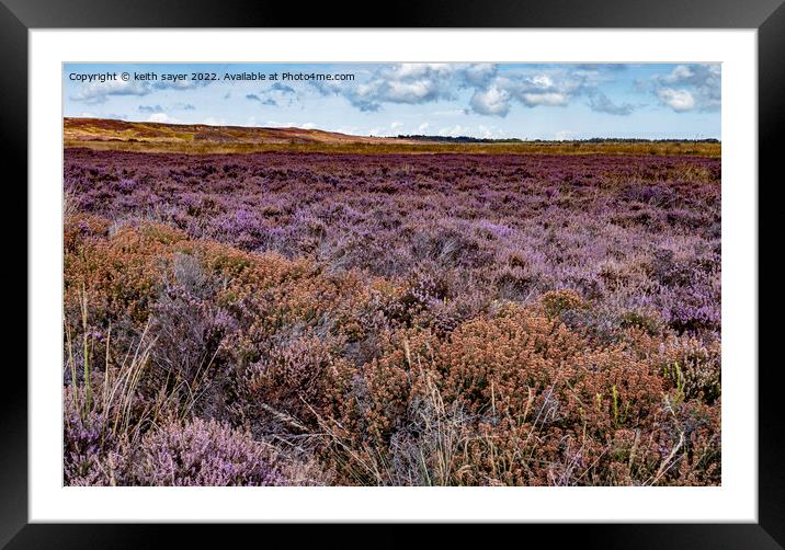 Yorkshire Heather Framed Mounted Print by keith sayer