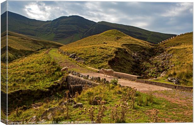 Pathway up to Llyn Y Fan Fawr in Powys Wales Canvas Print by Jenny Hibbert