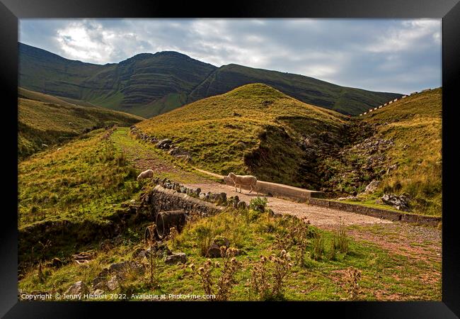 Pathway up to Llyn Y Fan Fawr in Powys Wales Framed Print by Jenny Hibbert