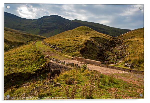 Pathway up to Llyn Y Fan Fawr in Powys Wales Acrylic by Jenny Hibbert
