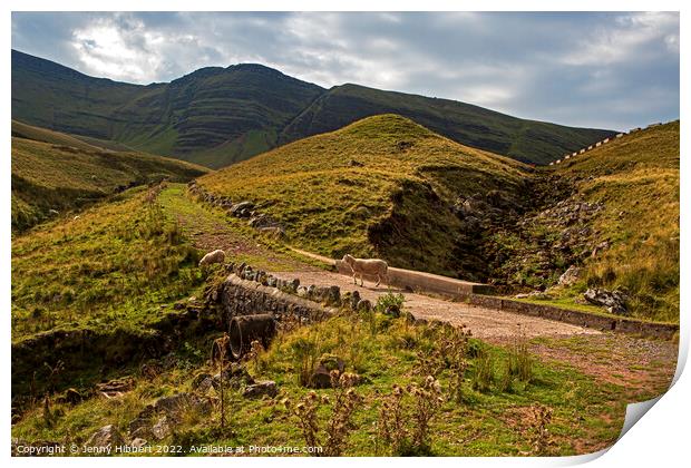 Pathway up to Llyn Y Fan Fawr in Powys Wales Print by Jenny Hibbert