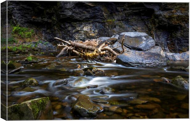 River textures and debris Canvas Print by Leighton Collins