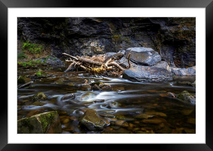 River textures and debris Framed Mounted Print by Leighton Collins