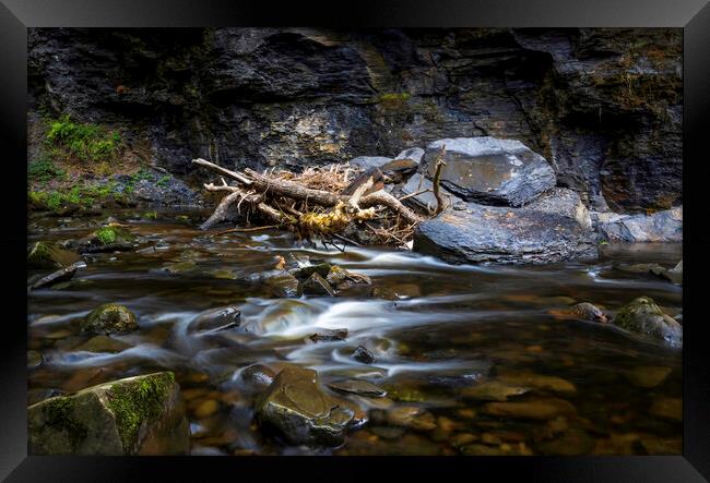 River textures and debris Framed Print by Leighton Collins