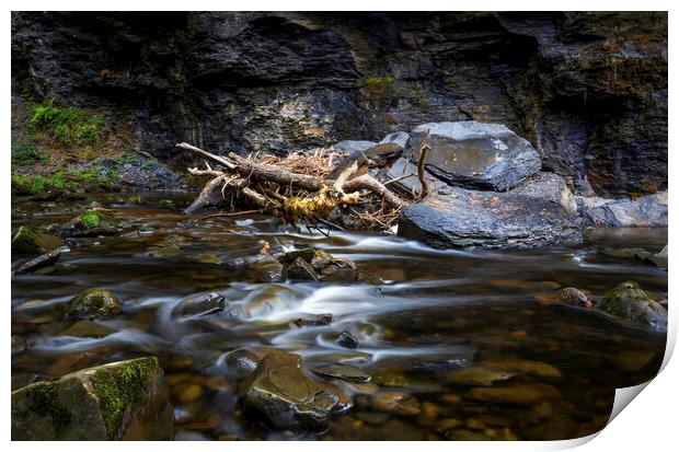 River textures and debris Print by Leighton Collins