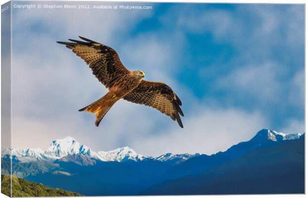 Red Kite Mountains Canvas Print by Stephen Pimm