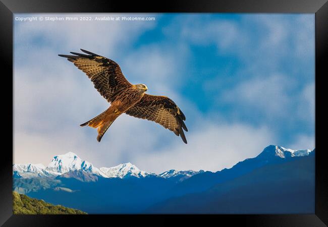 Red Kite Mountains Framed Print by Stephen Pimm