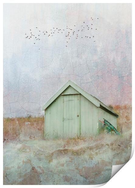 The Lone Beach Hut  Print by Anthony McGeever