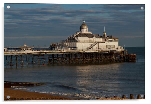 Eastbourne Pier, example of Victorian architecture Acrylic by Sally Wallis