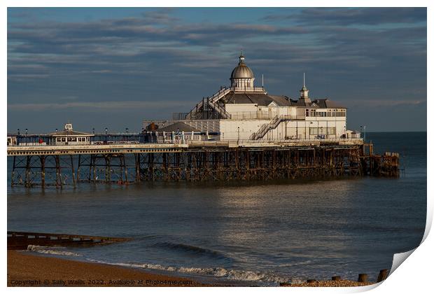 Eastbourne Pier, example of Victorian architecture Print by Sally Wallis