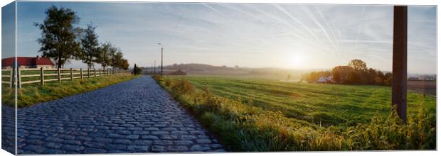 paving sett roadin autumnal sunlight Canvas Print by youri Mahieu