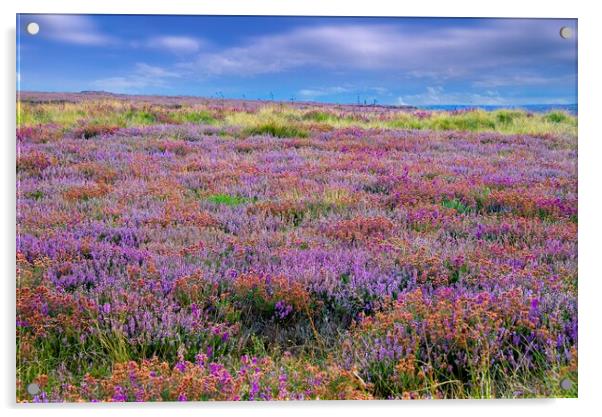 Heather Acrylic by Martyn Arnold