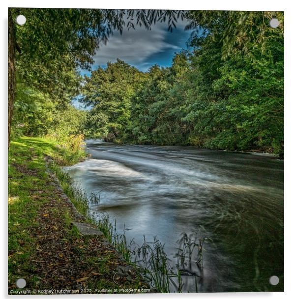 Serene River Doon Acrylic by Rodney Hutchinson