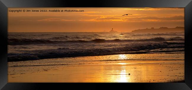 Sunrise and a Single Seagull - Panorama Framed Print by Jim Jones