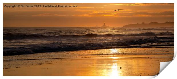 Sunrise and a Single Seagull - Panorama Print by Jim Jones