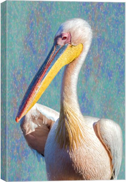 Great White Pelican, Profile, painterly Canvas Print by Belinda Greb