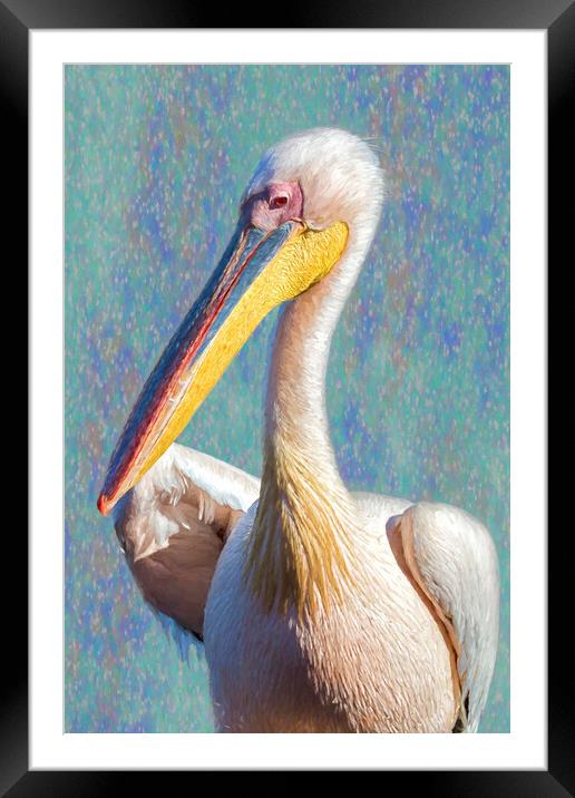 Great White Pelican, Profile, painterly Framed Mounted Print by Belinda Greb