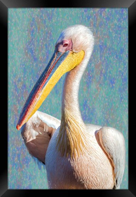 Great White Pelican, Profile, painterly Framed Print by Belinda Greb