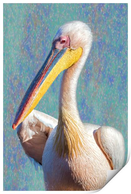 Great White Pelican, Profile, painterly Print by Belinda Greb