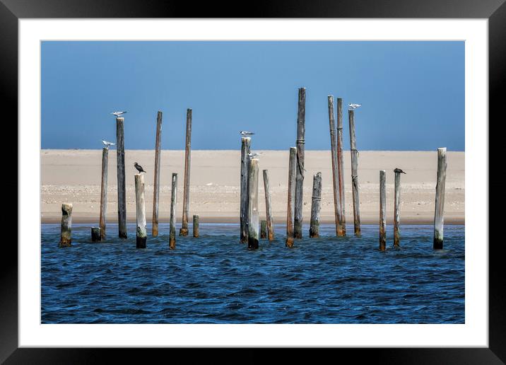 Mostly Standing Room Only Framed Mounted Print by Belinda Greb