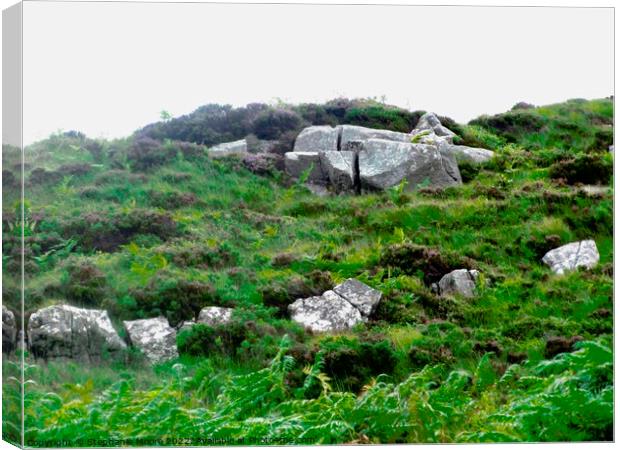 Rocks and Heather Canvas Print by Stephanie Moore