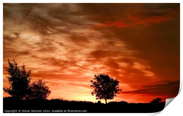 tree silhouette and sunrise  Print by Simon Johnson