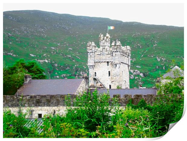 Glenveagh Castle from the back Print by Stephanie Moore