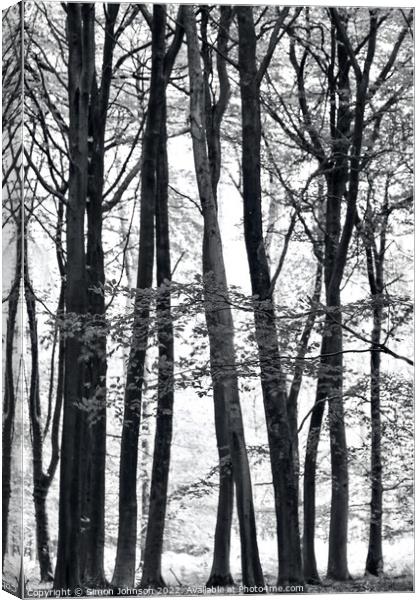 Treescape Canvas Print by Simon Johnson