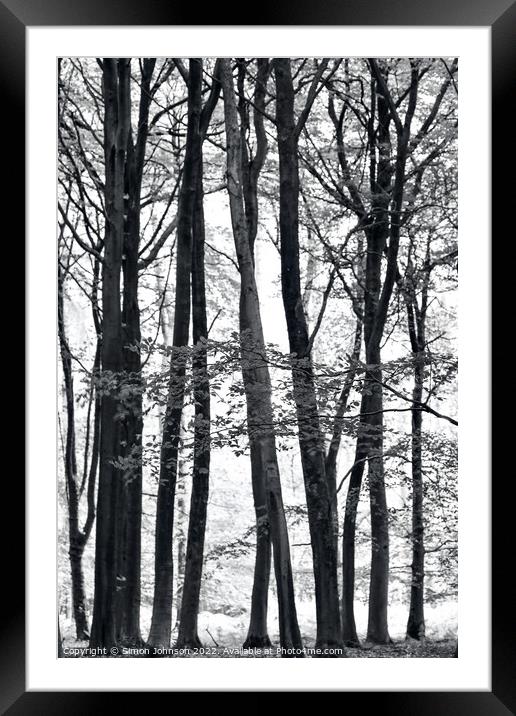 Treescape Framed Mounted Print by Simon Johnson