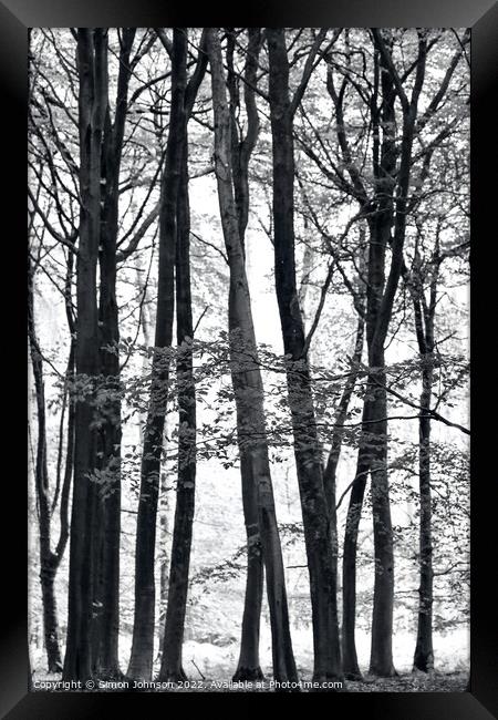 Treescape Framed Print by Simon Johnson