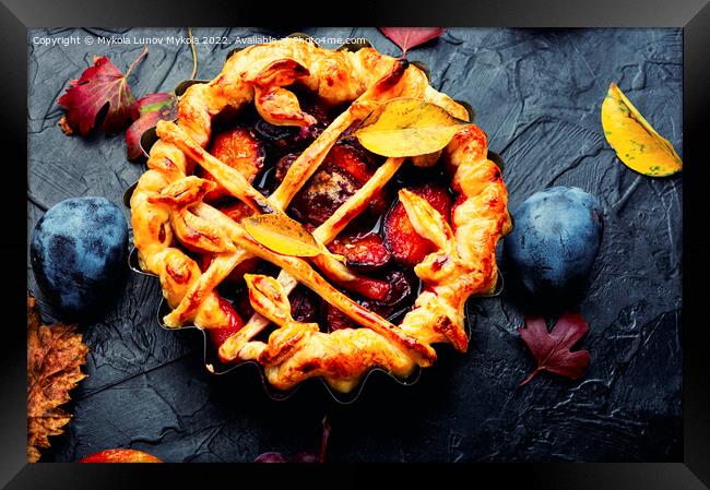 Autumn pies with fruits Framed Print by Mykola Lunov Mykola
