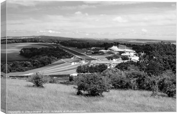 Goodwood from The Trundle Monochrome Canvas Print by Diana Mower
