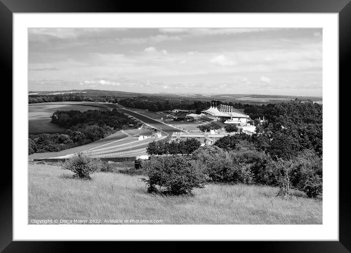 Goodwood from The Trundle Monochrome Framed Mounted Print by Diana Mower
