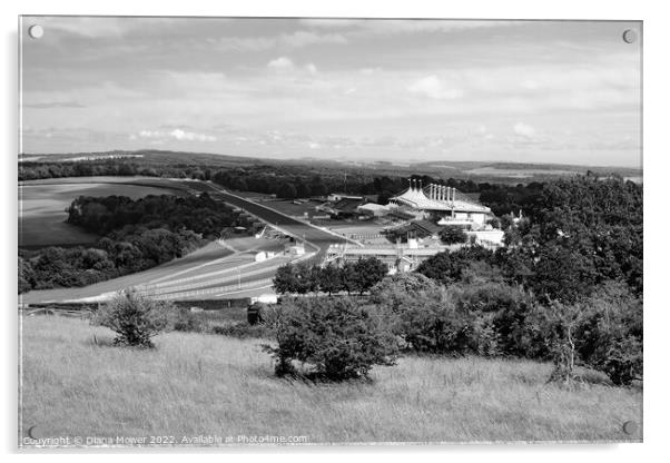 Goodwood from The Trundle Monochrome Acrylic by Diana Mower
