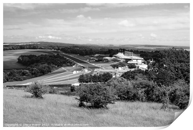 Goodwood from The Trundle Monochrome Print by Diana Mower