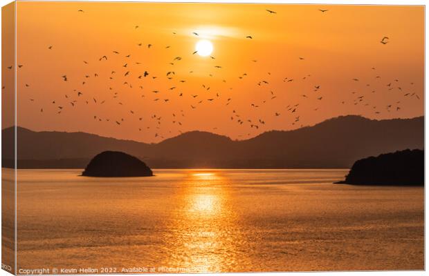Birds at sunset Canvas Print by Kevin Hellon