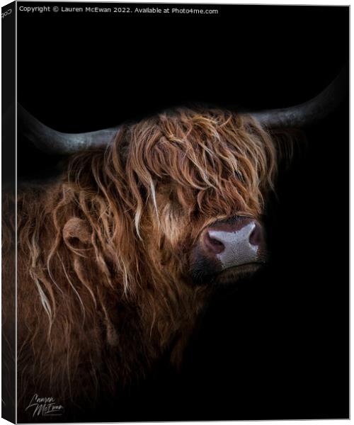 Portrait of a Highland Cow Canvas Print by Lauren McEwan