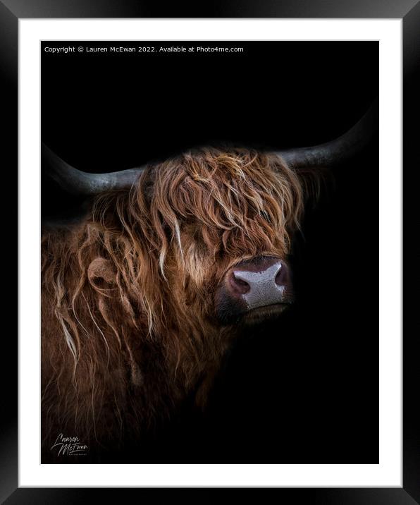 Portrait of a Highland Cow Framed Mounted Print by Lauren McEwan