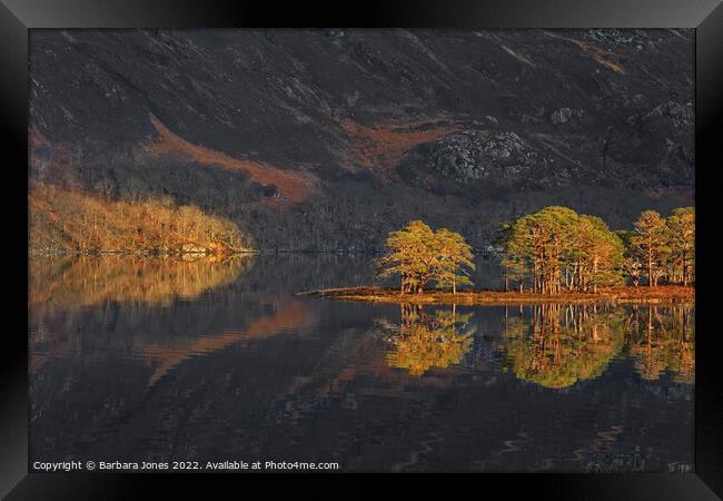 Loch Maree Caledonian Pines Wester Ross, Scotland. Framed Print by Barbara Jones
