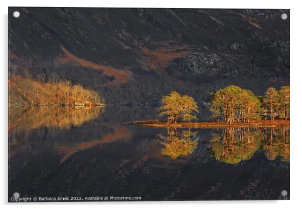 Loch Maree Caledonian Pines Wester Ross, Scotland. Acrylic by Barbara Jones