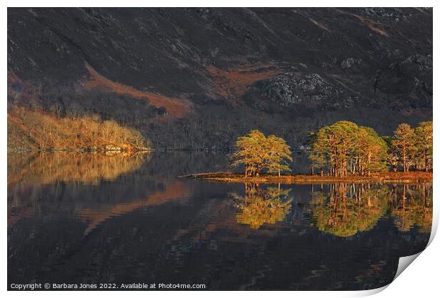 Loch Maree Caledonian Pines Wester Ross, Scotland. Print by Barbara Jones