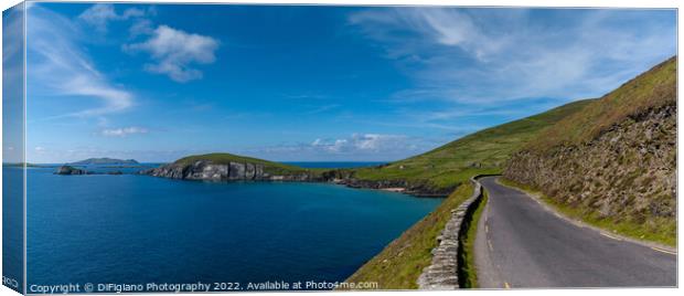 The Wild Atlantic Way Canvas Print by DiFigiano Photography